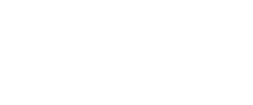Different Speed Logo